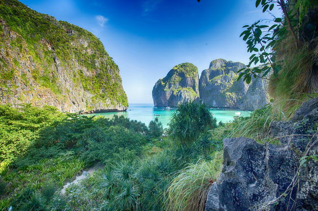 Phi Phi islands tour by speedboat